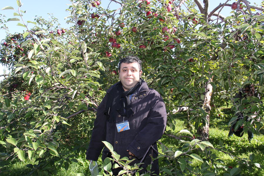 apple-picking-13