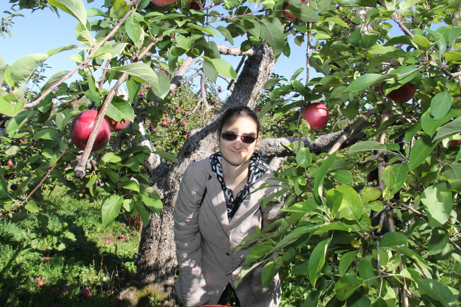 apple-picking-23