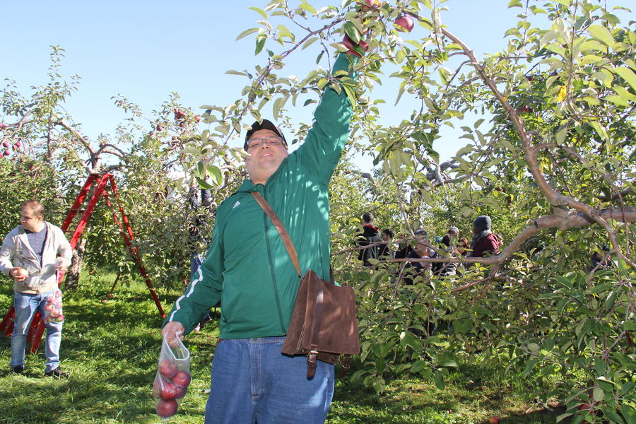 apple-picking-29