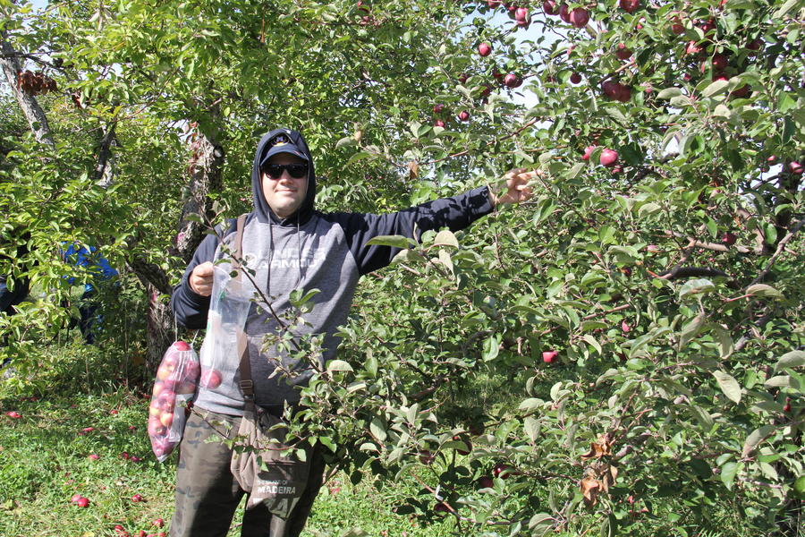 apple-picking-29
