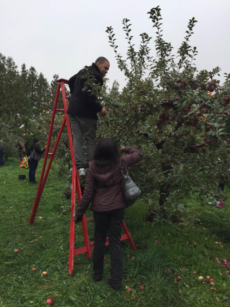 ccbe-apple-picking