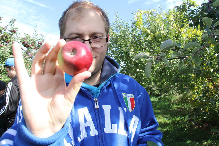 apple-picking-31