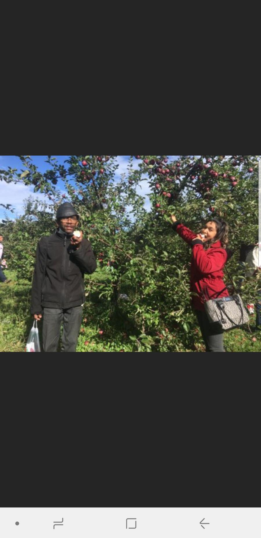 apple-picking-45
