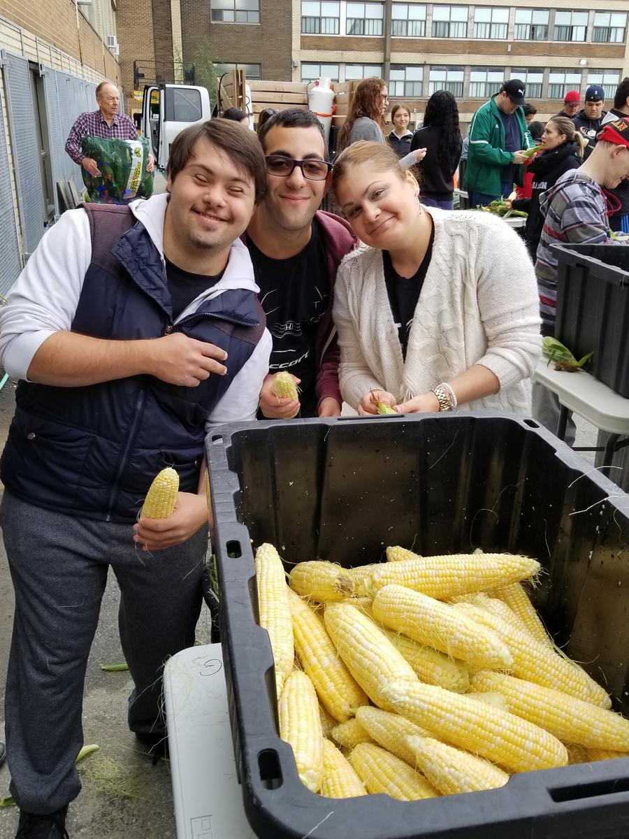 corn-day-16